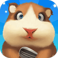 完美体育app最新版 v9.9.43