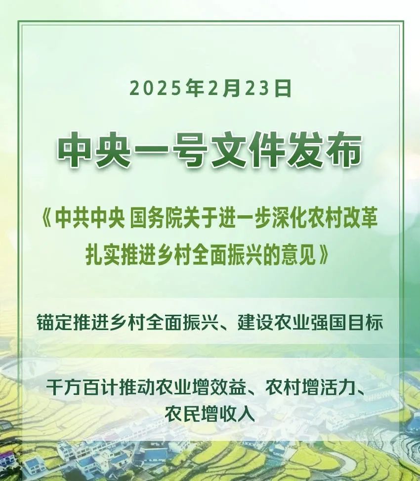 2025年中央一号文件（全文）(图1)